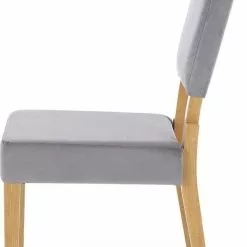 Tuotemerkit Daly Ruokapöydän Tuoli - Tammi/harmaa -Keittiö- ja ruokapöytätuolit Försäljningsbutik 07e7a3ad979489784c20fe0490b55eee4b
