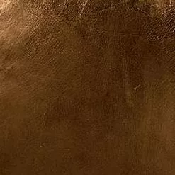 Tuotemerkit Miles Baarijakkara - Ruskea Aniliininahka 6 Tuotemerkit Miles Baarijakkara - Ruskea Aniliininahka -Keittiö- ja ruokapöytätuolit Försäljningsbutik 315731850f33363eb3dc4345665c3a70d1 3