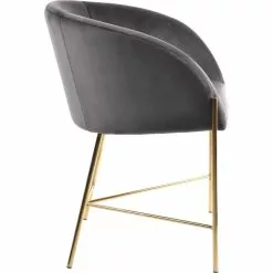 Tuotemerkit Nelson Nojatuoli - Tummanharmaa/kulta -Keittiö- ja ruokapöytätuolit Försäljningsbutik b9d9c39d0f2cd884729403a75cb3d71e7f