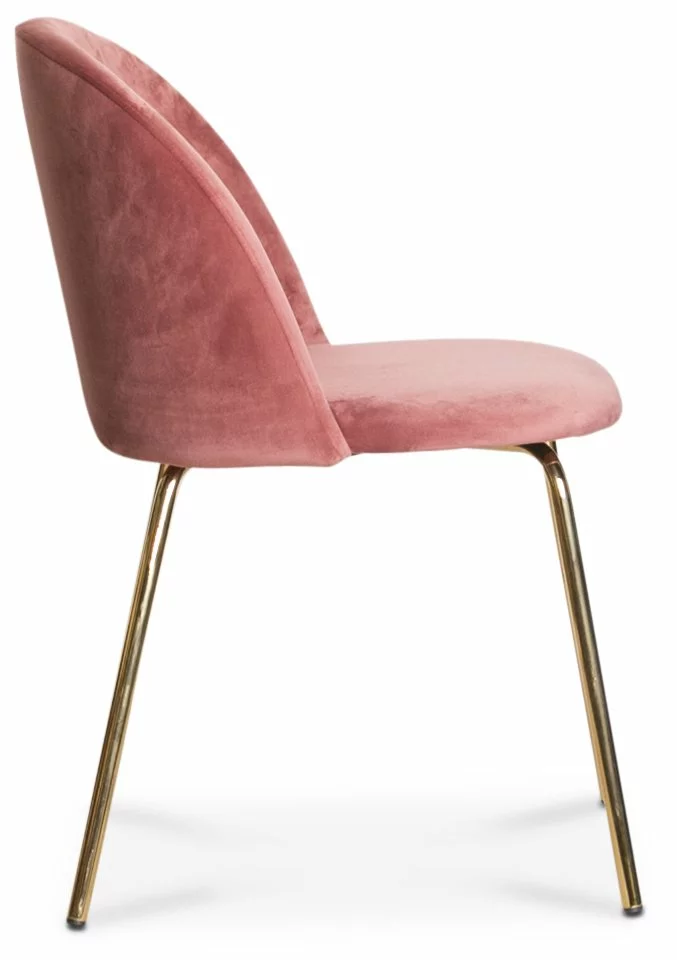 Tuotemerkit Giovani Velvet -tuoli - Korallinvaaleanpunainen / Messinki 4 Tuotemerkit Giovani Velvet -tuoli - Korallinvaaleanpunainen / Messinki - Bild 2