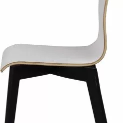 Tuotemerkit Aniyah-tuoli - Valkoiseksi/mustaksi Petsattu -Keittiö- ja ruokapöytätuolit Försäljningsbutik f87fd0e12276ad97a921a9dd163df7c01c